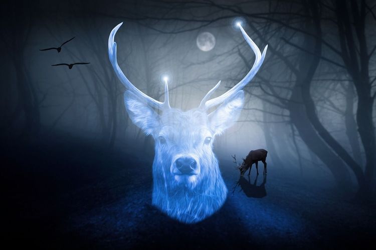 Patronus AI: A Magical Begin - LLM Governance Tool Gains Momentum