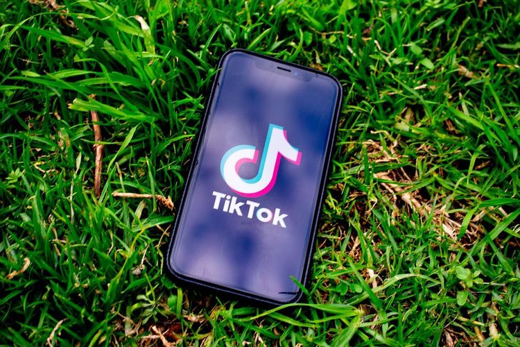 TikTok Launches In-App Election Centers for EU Users to Combat Disinformation Risks