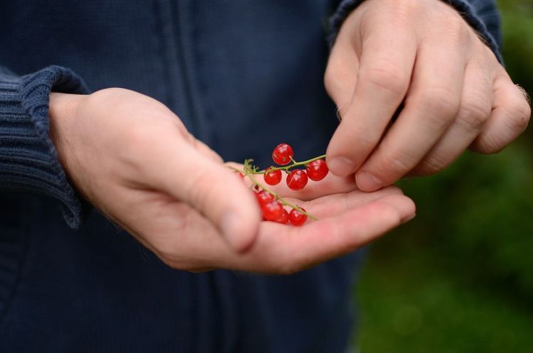 Briefly Bio Secures $1.2M in Funding to Create the GitHub for Scientific Experiments